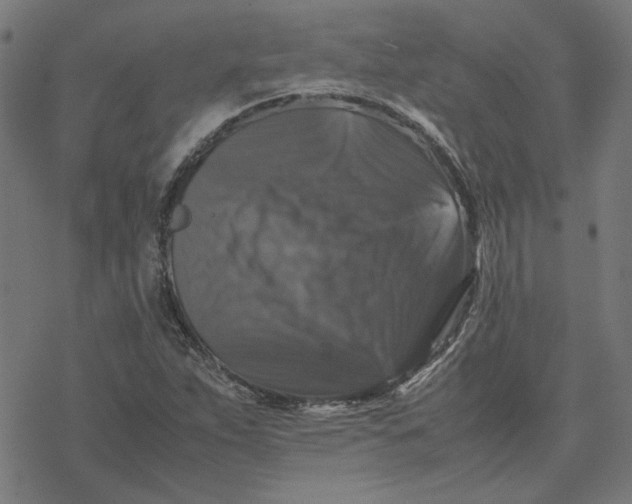 X0000077291263200611101334