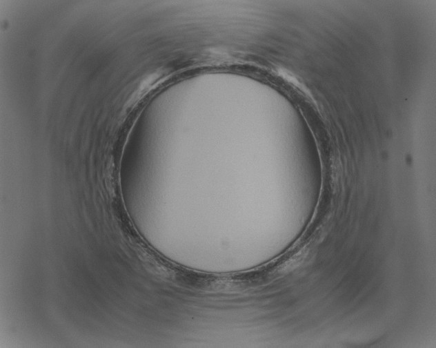 X0000077291265200611101334