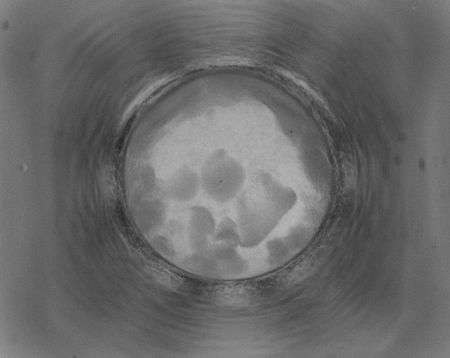 X0000077291266200611101334