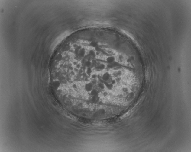 X0000077291267200611101334