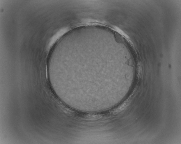 X0000077291269200611101334