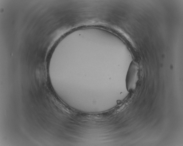 X0000077291270200611101334