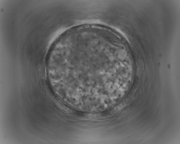 X0000077291271200611101334