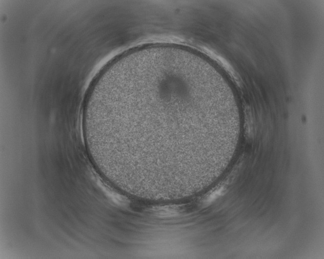 X0000077291272200611101334