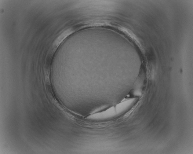 X0000077291273200611101334