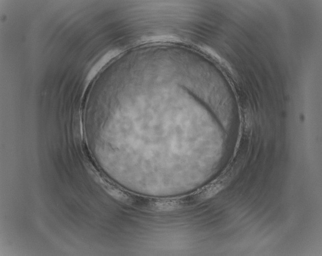 X0000077291274200611101334