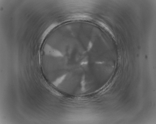 X0000077291275200611101334