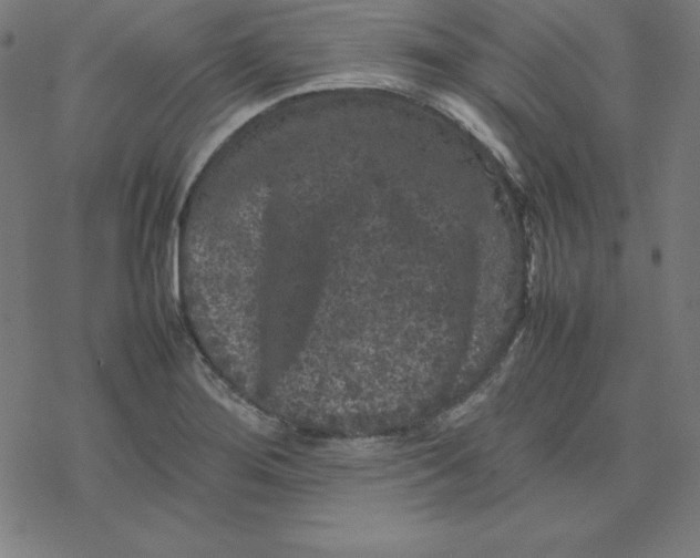 X0000077291276200611101334