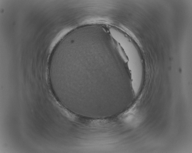 X0000077291277200611101334