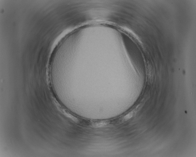 X0000077291278200611101334