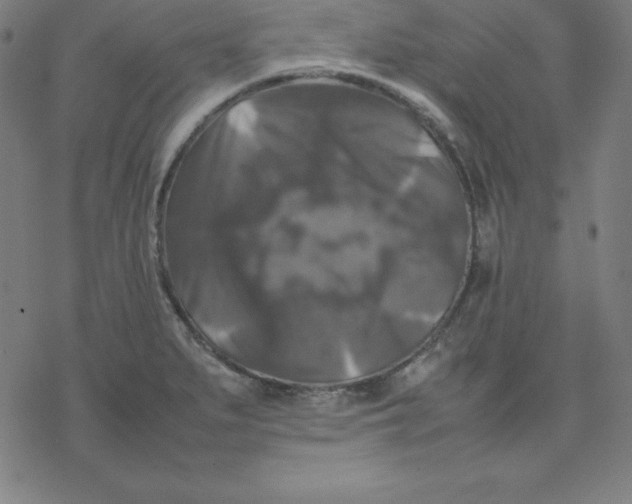 X0000077291279200611101334