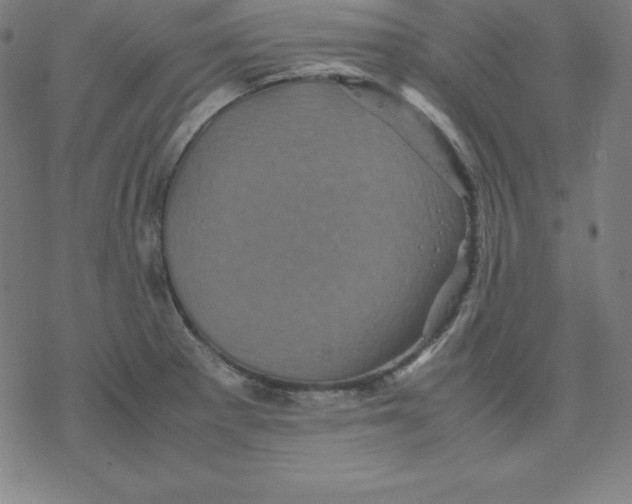 X0000077291281200611101334