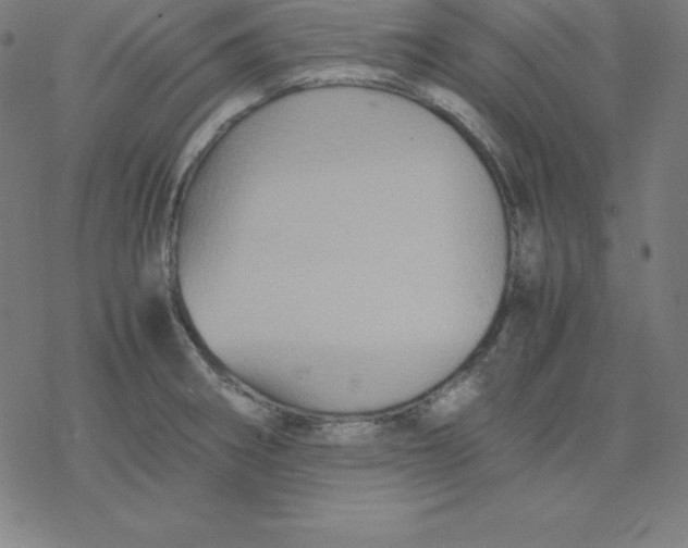 X0000077291282200611101334