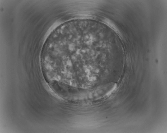 X0000077291283200611101334