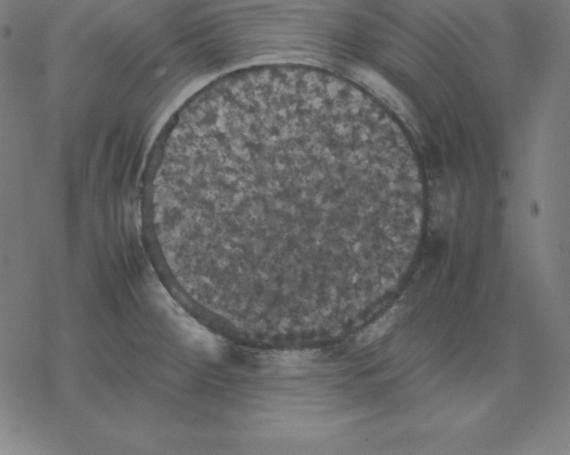 X0000077291284200611101334