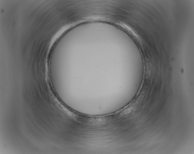 X0000077291286200611101333