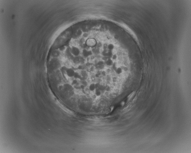 X0000077291287200611101333