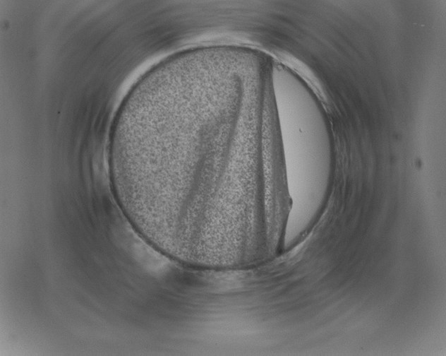 X0000077291288200611101333