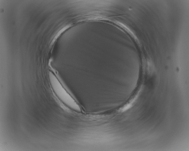 X0000077291289200611101333