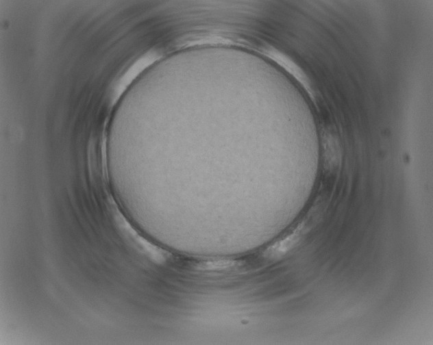 X0000077291290200611101333