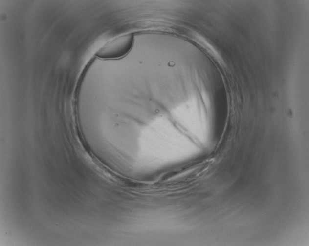 X0000077291291200611101333