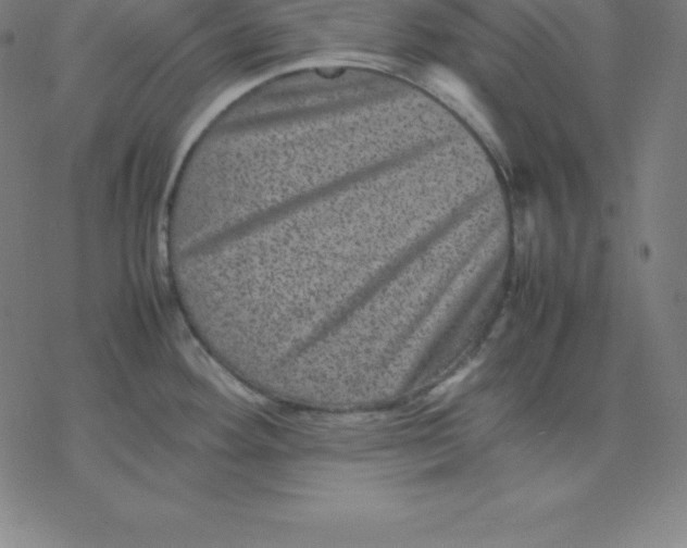 X0000077291292200611101333