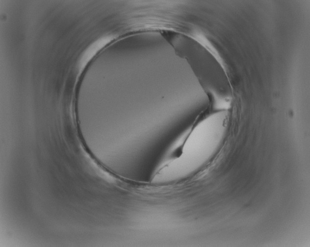 X0000077291293200611101333