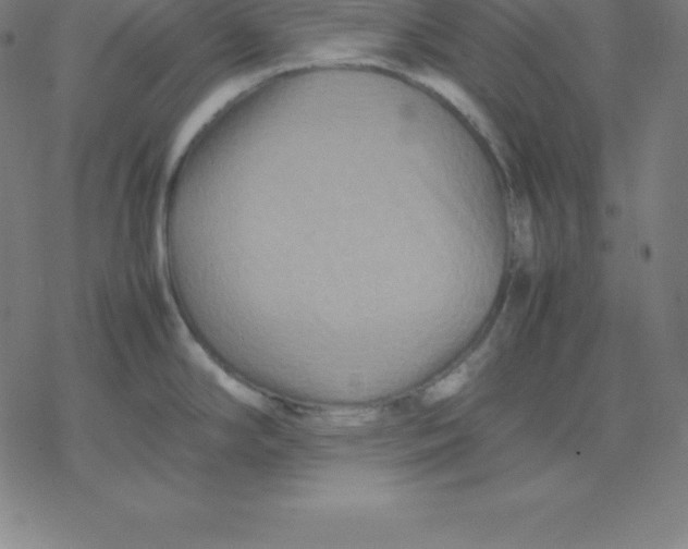 X0000077291294200611101333