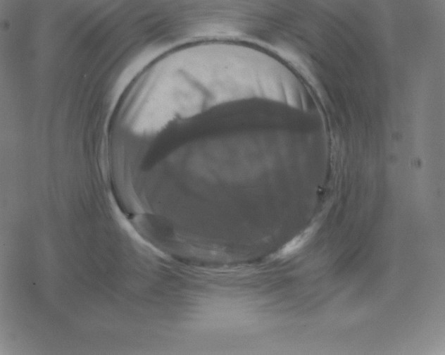 X0000077291295200611101333