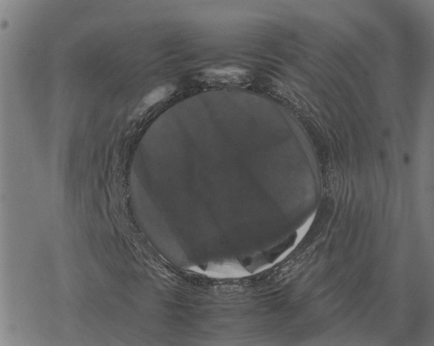 X0000077291297200611101333