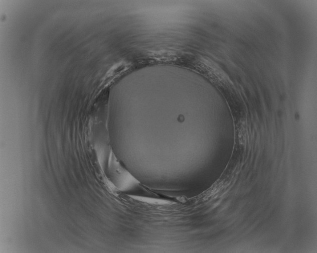 X0000077291298200611101333