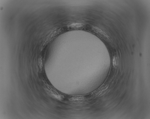 X0000077291299200611101333