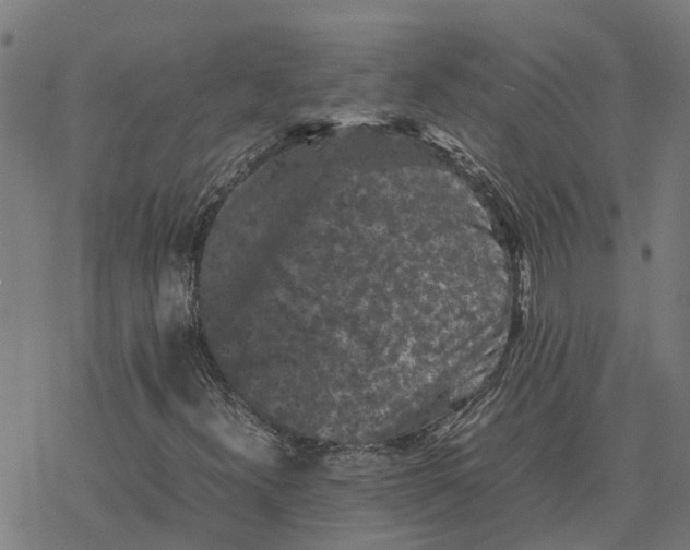 X0000077291300200611101333