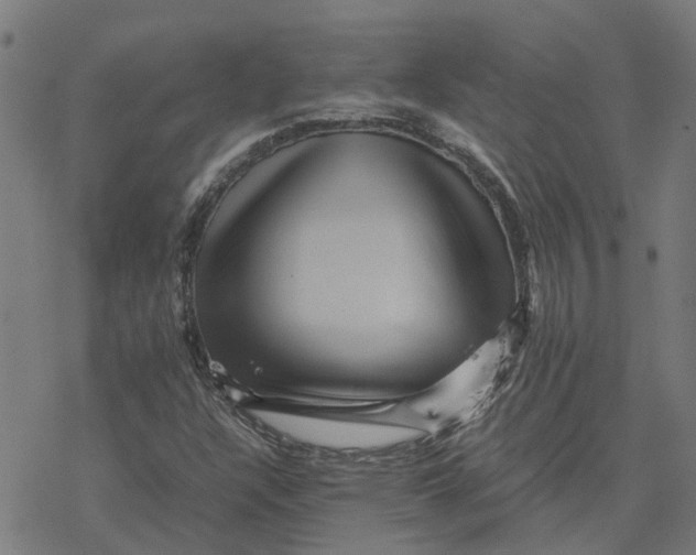 X0000077291304200611101333