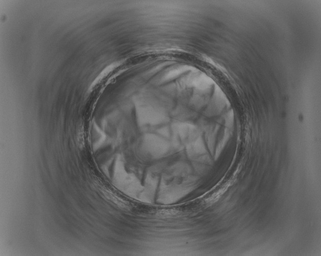 X0000077291306200611101333