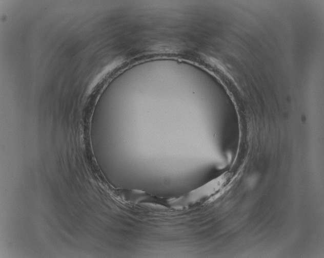 X0000077291307200611101333