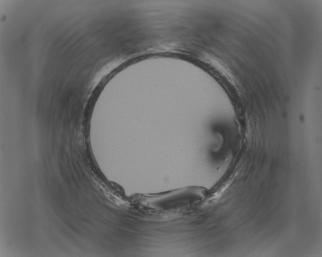 X0000077291308200611101333