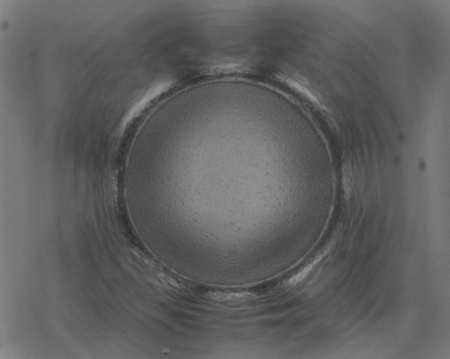 X0000077291309200611101333