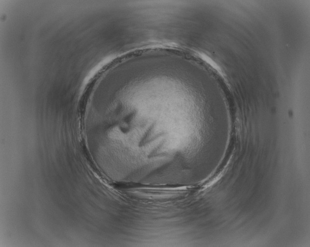 X0000077291310200611101333