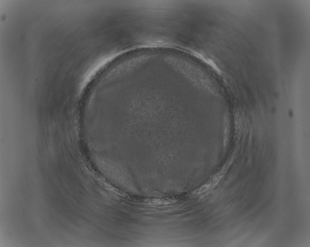 X0000077291311200611101333