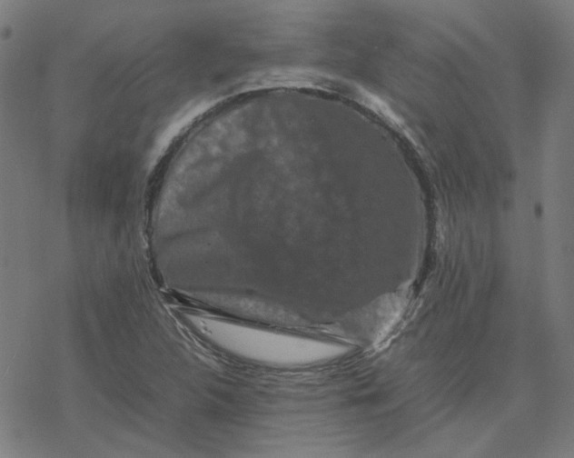 X0000077291312200611101333