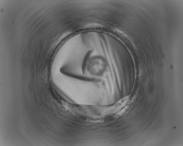 X0000077291313200611101333