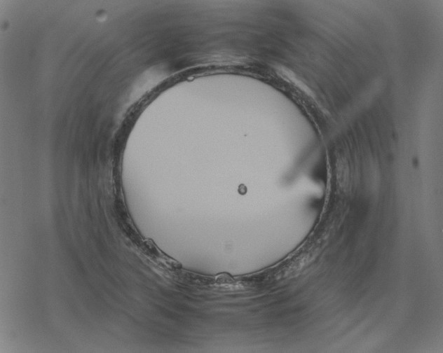 X0000077291315200611101333