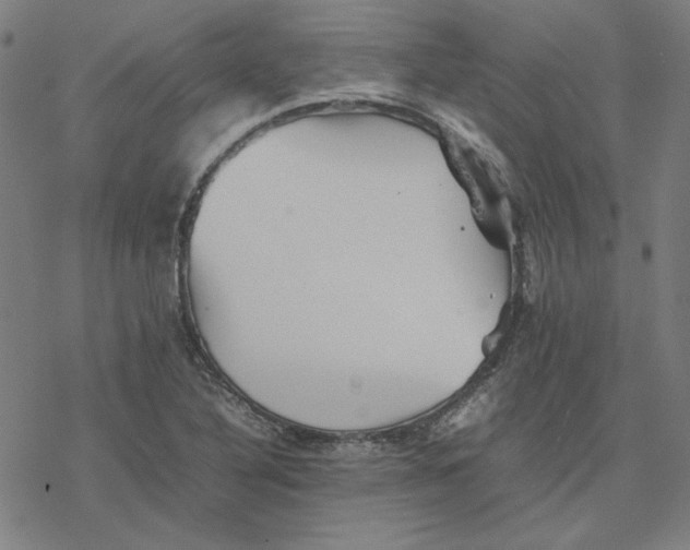 X0000077291316200611101333