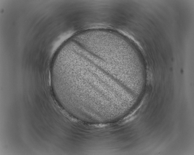 X0000077291317200611101333