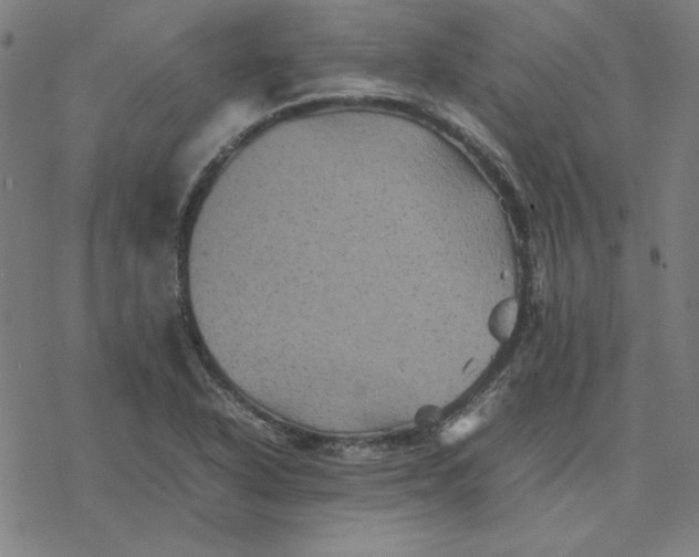 X0000077291318200611101333