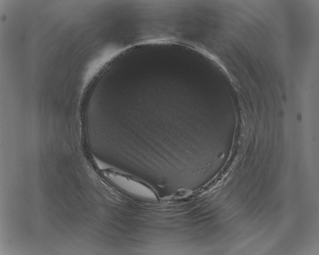 X0000077291319200611101333