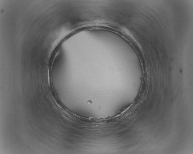 X0000077291320200611101333