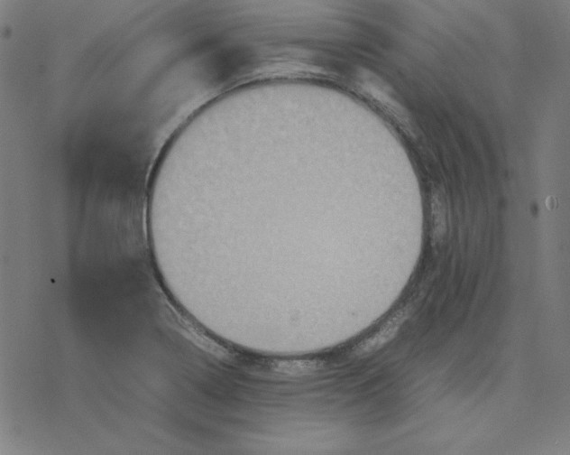 X0000077291322200611101333