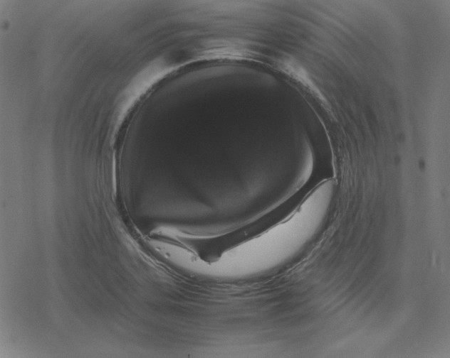 X0000077291323200611101333